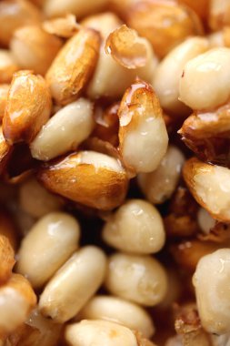 Bal içinde sedir kozalağı tohumları. Arka plan dolduruluyor.