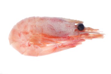 Pişmiş karides çerezi. İzole edilmiş haşlanmış karides..