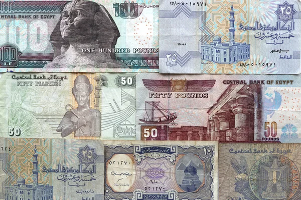 Arab Republic Egypt Currency Notes Background Pounds Piastres Cash Money — Stock Photo, Image