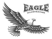 Adler Vektor Illustration, Emblem auf weißem Hintergrund