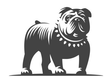 Bulldog vector illustration on white background clipart