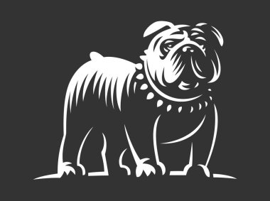 Bulldog vektör çizim koyu arka plan üzerinde