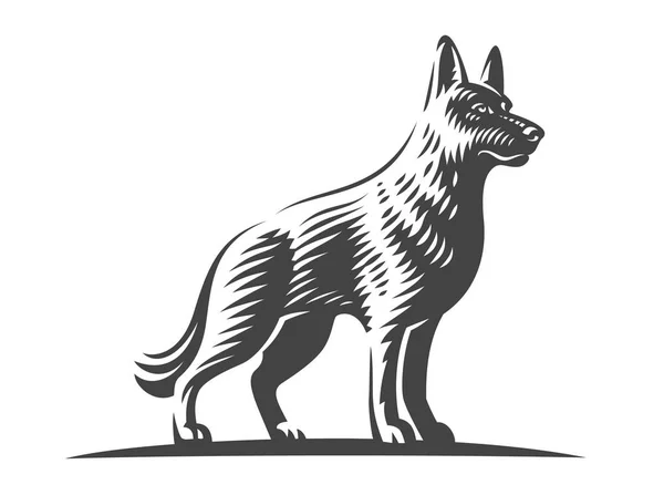 Çoban köpeği, vektör çizim — Stok Vektör