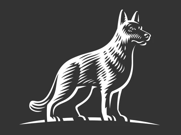 Schäferhund, Vektorillustration — Stockvektor