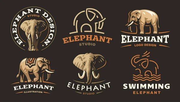 Definir o logotipo do elefante - ilustração vetorial, emblema no fundo escuro —  Vetores de Stock