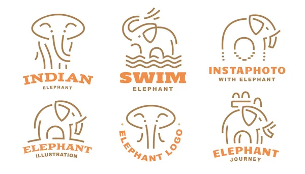 Set logo elefante - illustrazione vettoriale, emblema — Vettoriale Stock