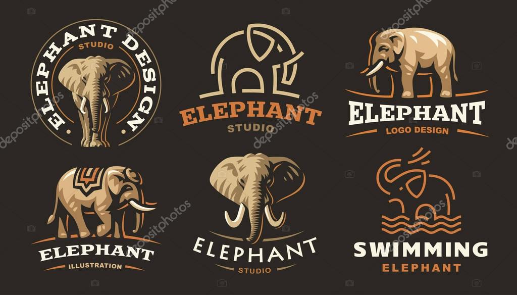 Set elephant logo - vector illustration, emblem design on dark background