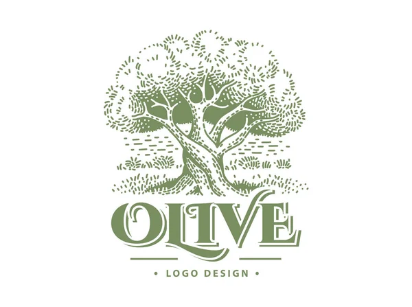 Olivetikett, emblem design. llustration av olivträd — Stock vektor