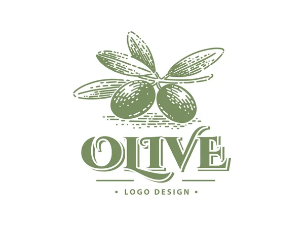 Azeitonas verdes e símbolos de óleo orgânico isolados em fundo branco, como um modelo de logotipo . — Vetor de Stock