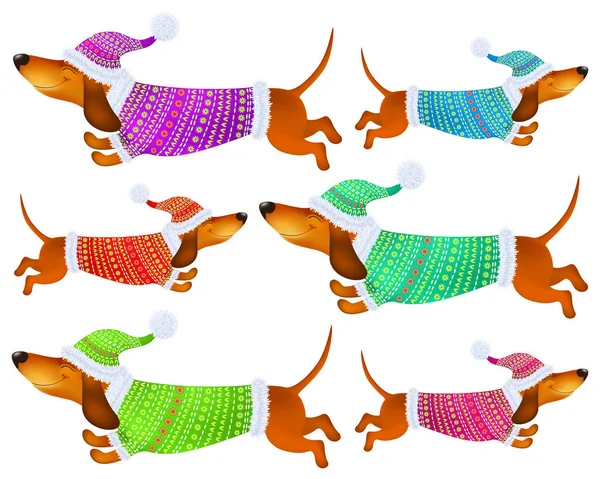 sevimli çizgi dachshunds renkli kış giysileri içinde ayarla. 