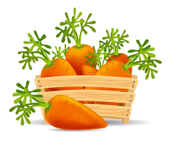 Carottes Dans Une Boîte Bois Légumes Frais Les Sains Récolte — Image vectorielle