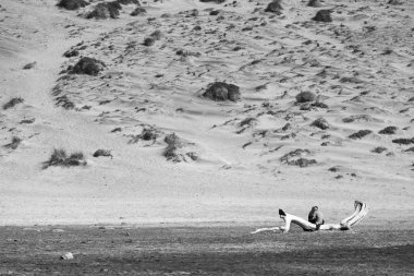 Cabo de Gata, Almera, Andaluca. Spain.