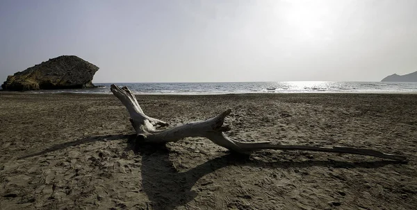 Cabo de Gata, Almera, Andaluca. Spain. — 图库照片