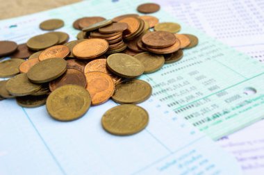 Bahçedeki kadife çiçeği.