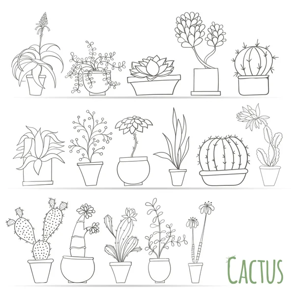 Set of cactus in pots Isolated on white background — Stockový vektor