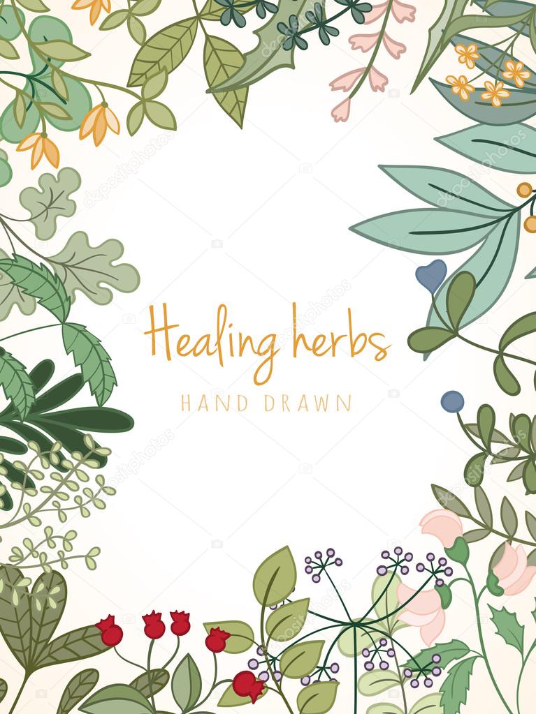 Vintage card of medicinal organic healing herbs.