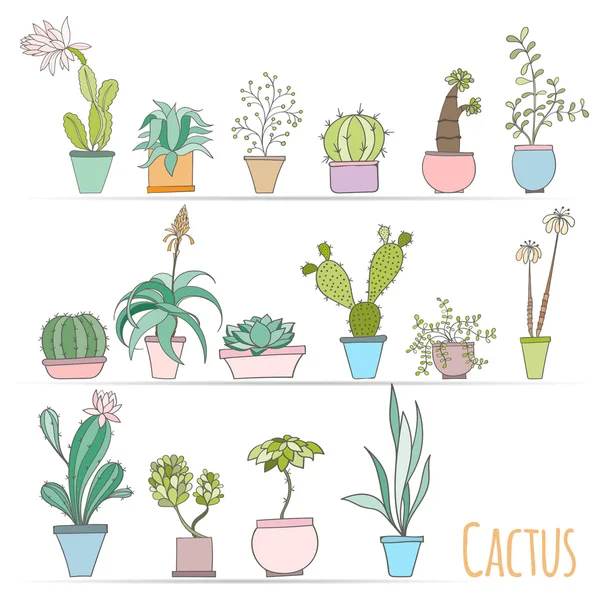 Set of cactus in pots Isolated on white background — Stock vektor