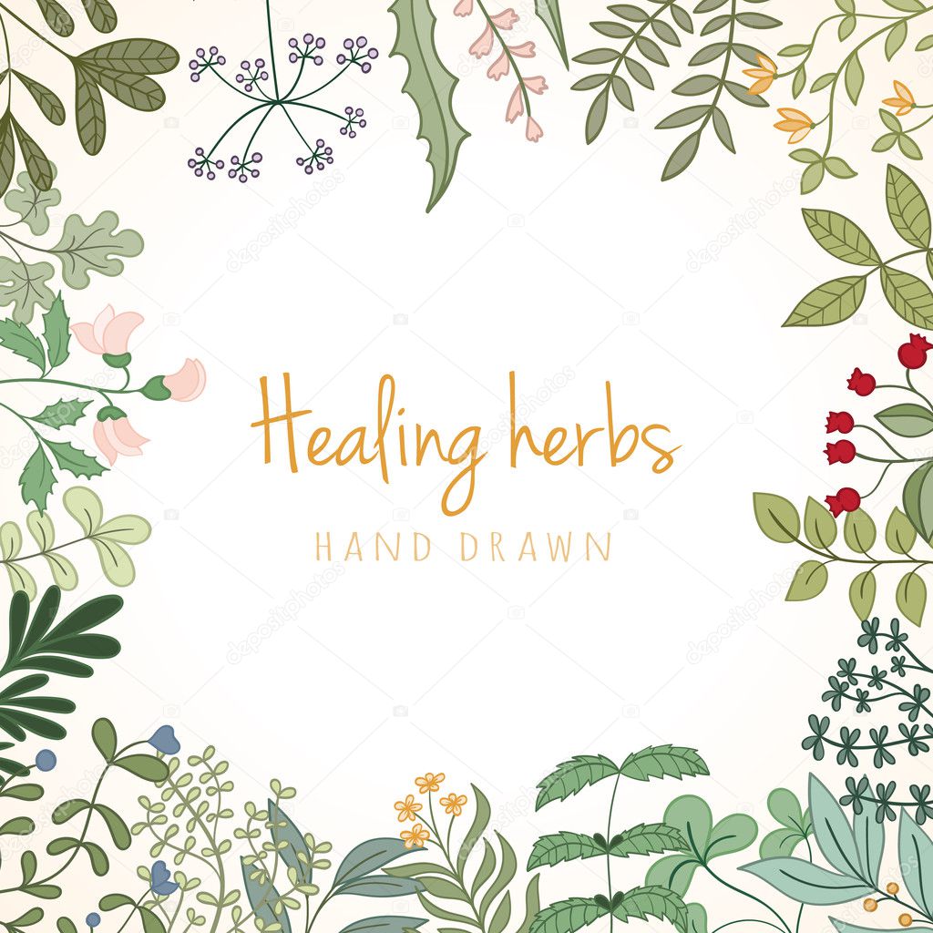 Vintage card of medicinal organic healing herbs.