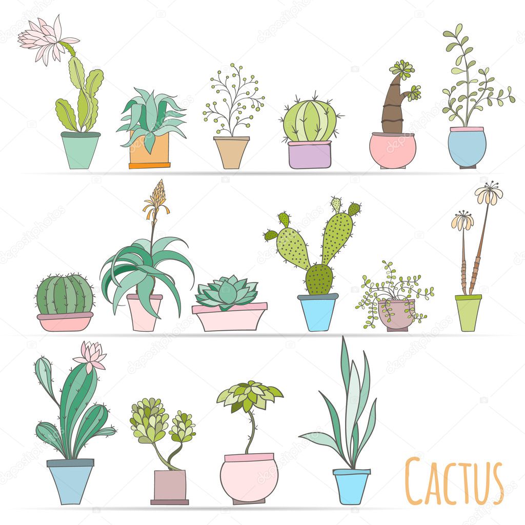 Set of cactus in pots Isolated on white background