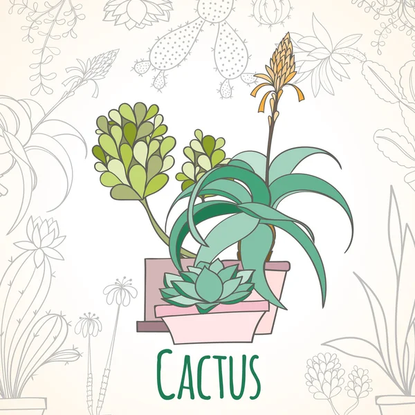 Invitation card of cactus in pots — Stock Vector