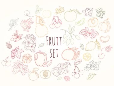 Meyve ve çilek vektör çizim seti