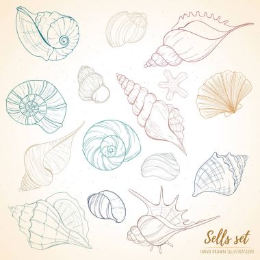 Seashell cennet tatil deniz seti