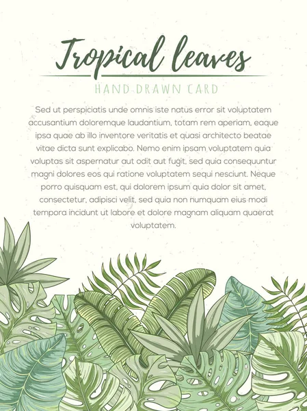 Hand gezeichnete tropische Palmblätter Karte Vektorgrafiken