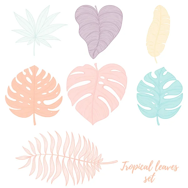 Hand drawn tropical palm leaves set. — Stock Vector