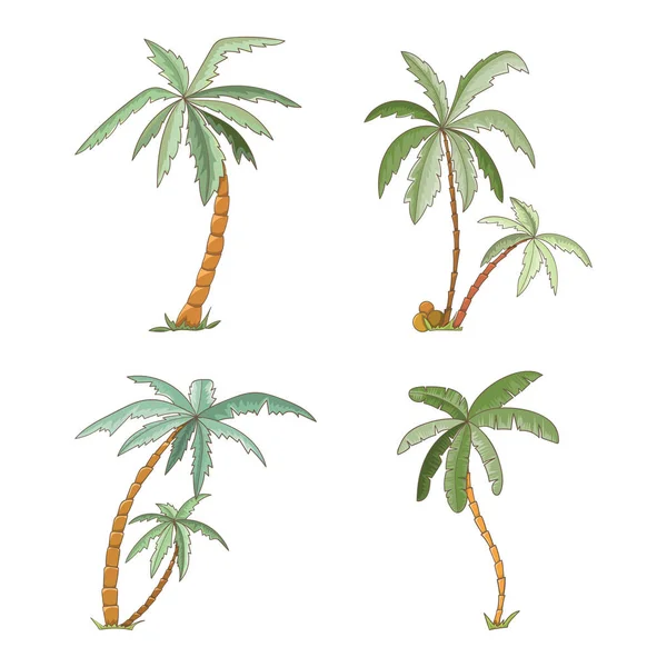 Hand dras tropisk palm träd set. — Stock vektor