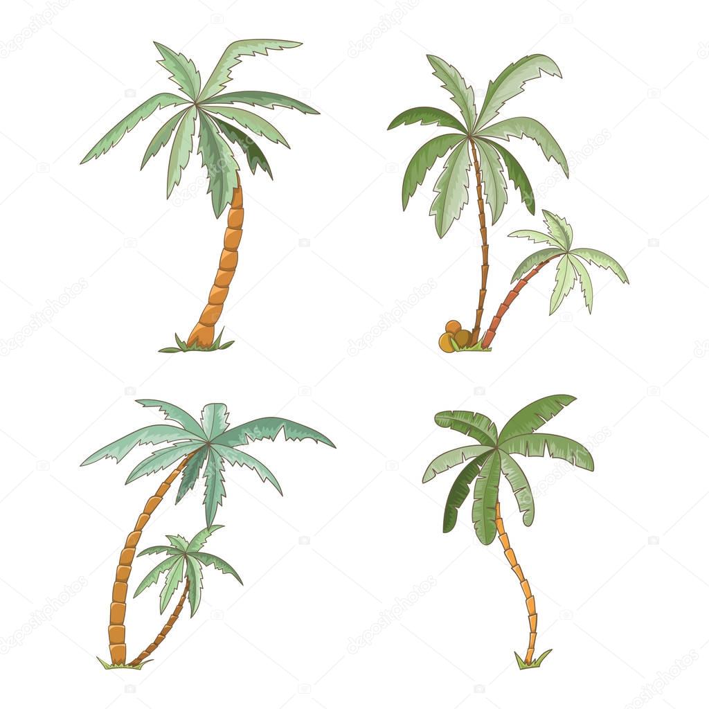 Hand drawn tropical palm trees set.