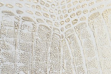 beyaz deri doku arkaplanı