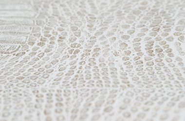 beyaz deri doku arkaplanı