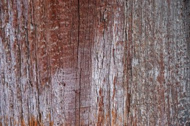 Ahşap doku doğal desenli. Eski boya