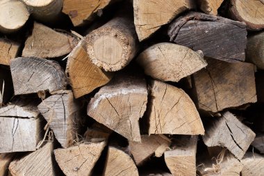 Ahşap doku. Arka planını kıyılmış kuru odun küme içinde günlüğe kaydeder.