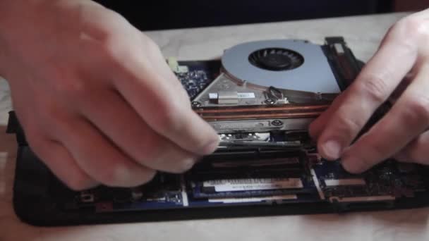 Instalar la RAM en la placa base — Vídeos de Stock