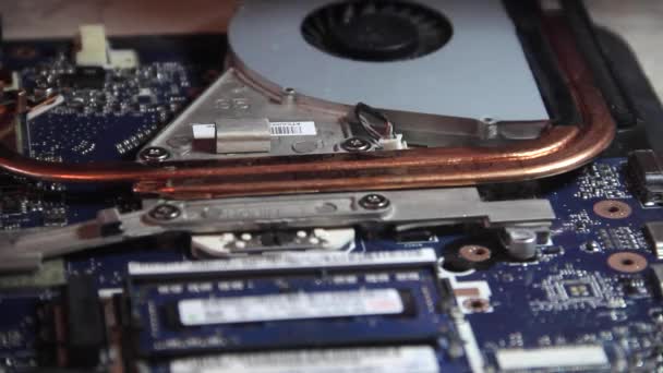 Ganti pendingin di motherboard — Stok Video