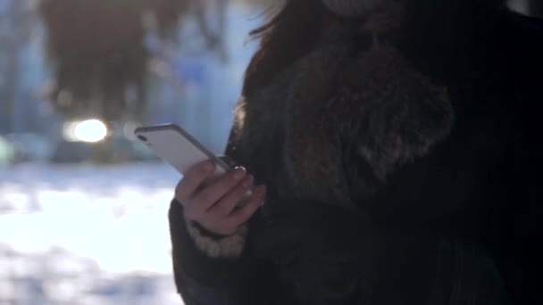 Girl writes SMS in the winter city — Stock Video