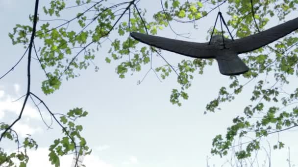 Pájaros falsos colgados de un árbol — Vídeos de Stock