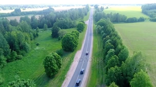 郊外の道路の旅行のいくつかの車 — ストック動画