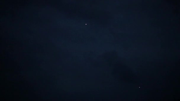 Праздничный фейерверк в ночном небе над лесом — стоковое видео
