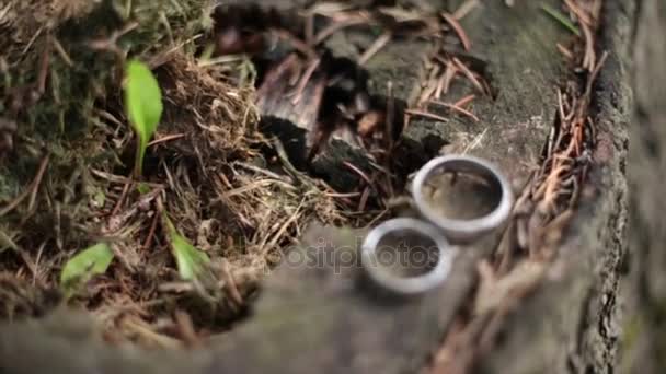 Anillos de boda sobre un hermoso fondo — Vídeos de Stock