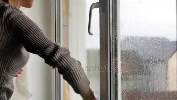 Housewife washes windows — Stock Video