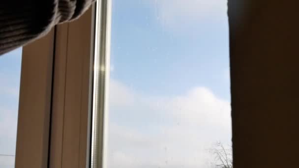 Миття вікон вдома . — стокове відео