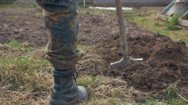 Bir adam kürekle toprağı kazıyor.