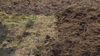 Onun bahçede çalışan bir çiftçi.