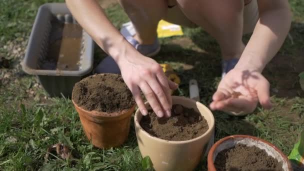 Planting seeds in the garden — Stock Video