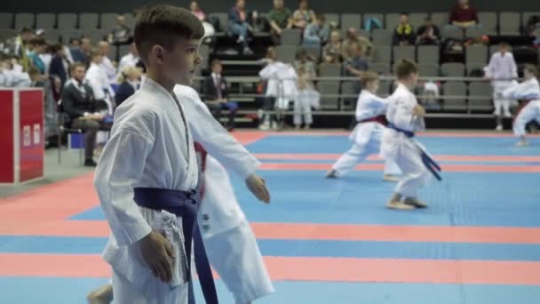 Mezinárodní otevřený karate pohár. Minsk, Bělorusko. — Stock video