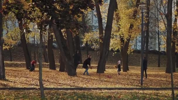 Сімейні прогулянки в парку і кидають на вершину осіннього листя. — стокове відео