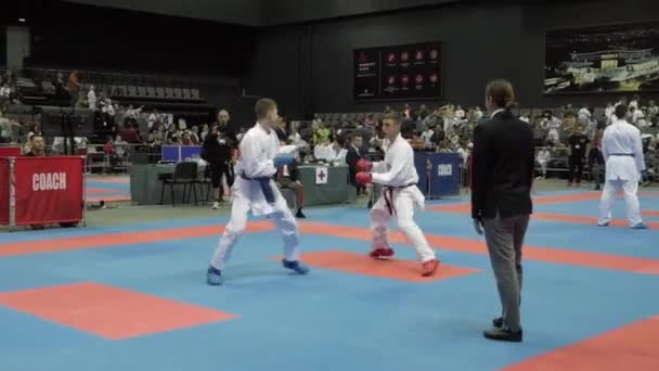 Cangkir karate terbuka internasional. Minsk, Belarus . — Stok Video