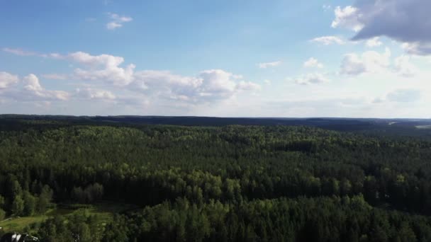 Kamera terbang di atas hutan — Stok Video